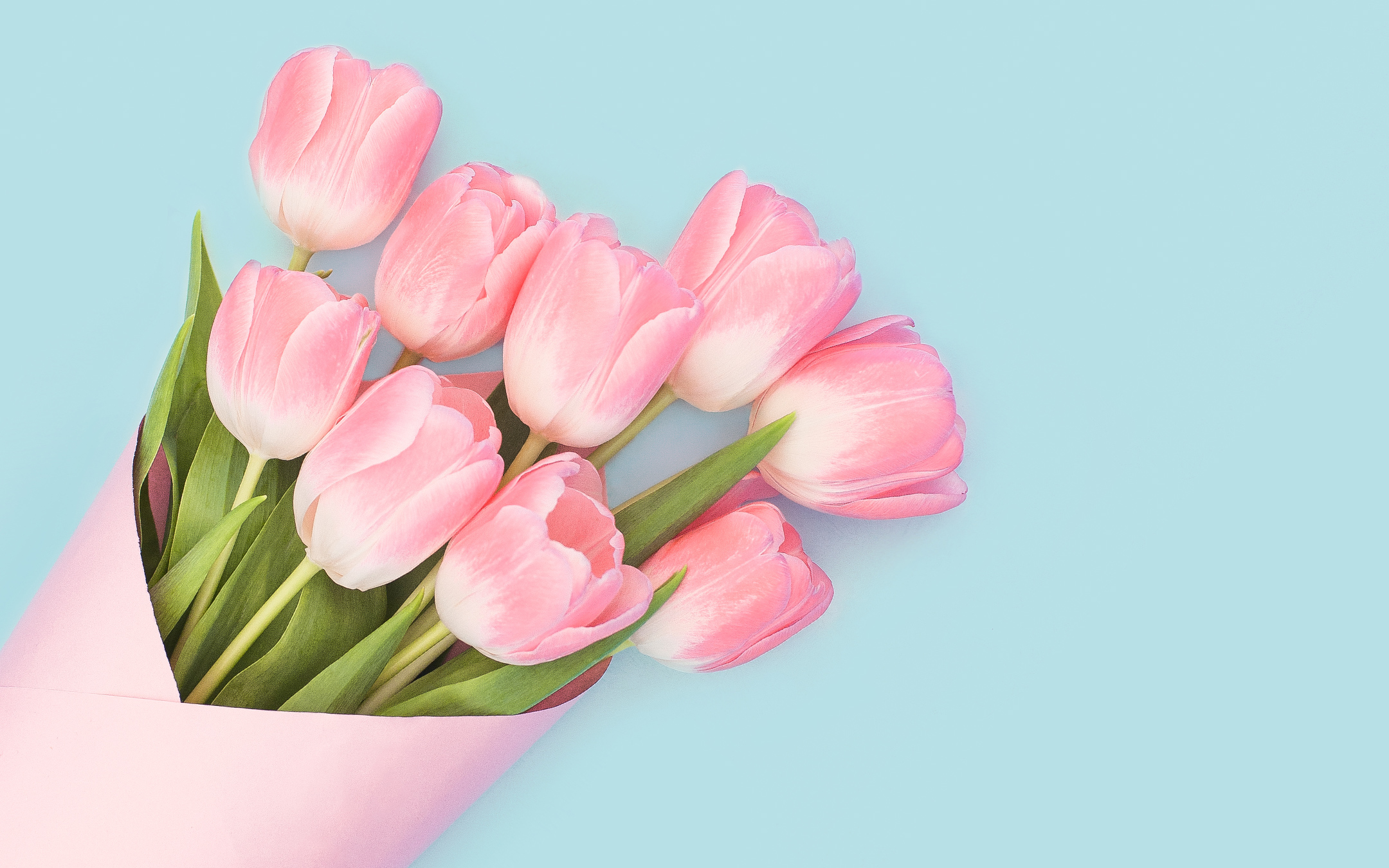 Baby Pink Tulips680865483